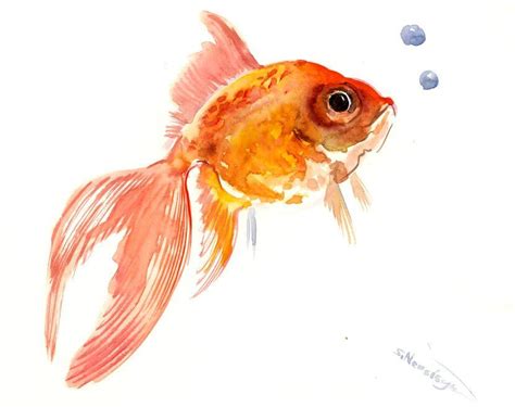 Goldfisch gemalt 