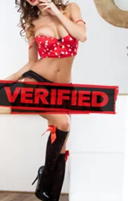 Britney wetpussy Find a prostitute Hajnowka